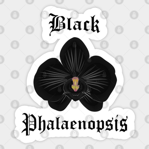 Black Phalaenopsis flower – Gothic orchid flower Sticker by IrvinGoth Garden